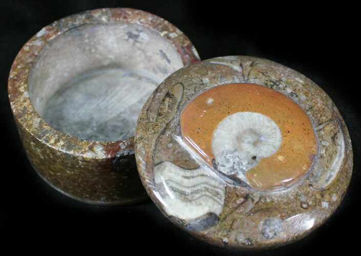Small Fossil Goniatite Jar (Brown) - Stoneware #26236